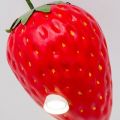 Giant strawberry